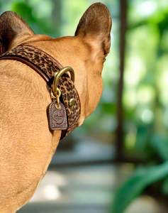 Genuine Leather Dog Collar: Monroe Collar