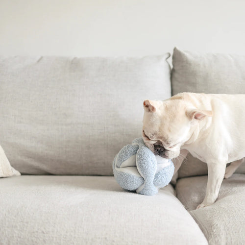 Bestseller// Monti A Crinkle + Squeaky Snuffle Puzzle Ball Play Object