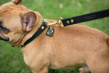 Load image into Gallery viewer, Genuine Leather Dog Collar: Ravenna Collar