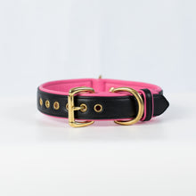 Load image into Gallery viewer, Genuine Leather Dog Collar: Catalina Collar