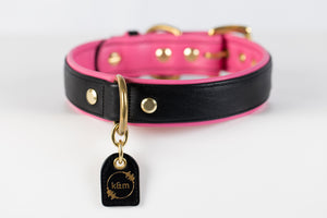 Genuine Leather Dog Collar: Catalina Collar