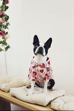 Load image into Gallery viewer, Dog Shirt &quot;Brunch Date&quot; For All Breeds &amp; Sizes