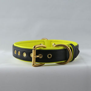 Genuine Leather Dog Collar: Monaco Collar