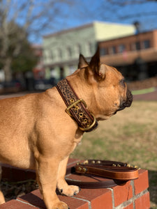 Genuine Leather Dog Collar: Monroe Collar