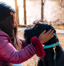 Load image into Gallery viewer, Genuine Shearling, Leather, &amp; Nylon Rope Leash  For Dogs: Méribel Leash