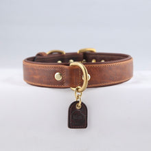 Load image into Gallery viewer, Genuine Leather Dog Collar: Barneys Collar