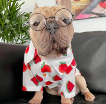 Load image into Gallery viewer, It’s Back! Customer FAV! Dog Shirt &quot;Tutti Frutti&quot; For All Breeds &amp; Sizes