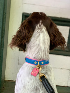 Genuine Leather Dog Collar: Key Largo Collar