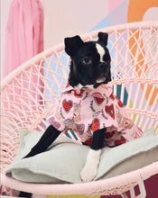 Load image into Gallery viewer, Dog Shirt &quot;Brunch Date&quot; For All Breeds &amp; Sizes