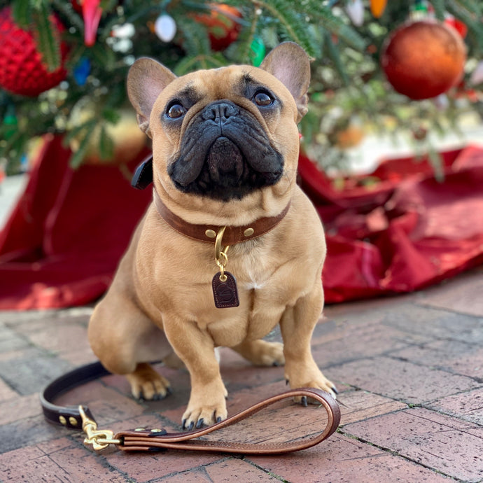 Genuine Leather Dog Collar: Barneys Collar