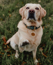 Load image into Gallery viewer, Genuine Leather Dog Collar: Saint -Yves Collar