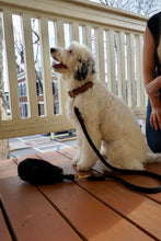 Load image into Gallery viewer, Genuine Shearling  Grip For Dogs: Gstaad Grip