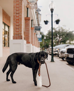 Genuine Shearling, Leather, & Nylon Rope Leash For Dogs: St. Moritz Leash