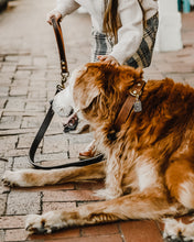 Load image into Gallery viewer, Genuine Leather Dog Collar: Barneys Collar